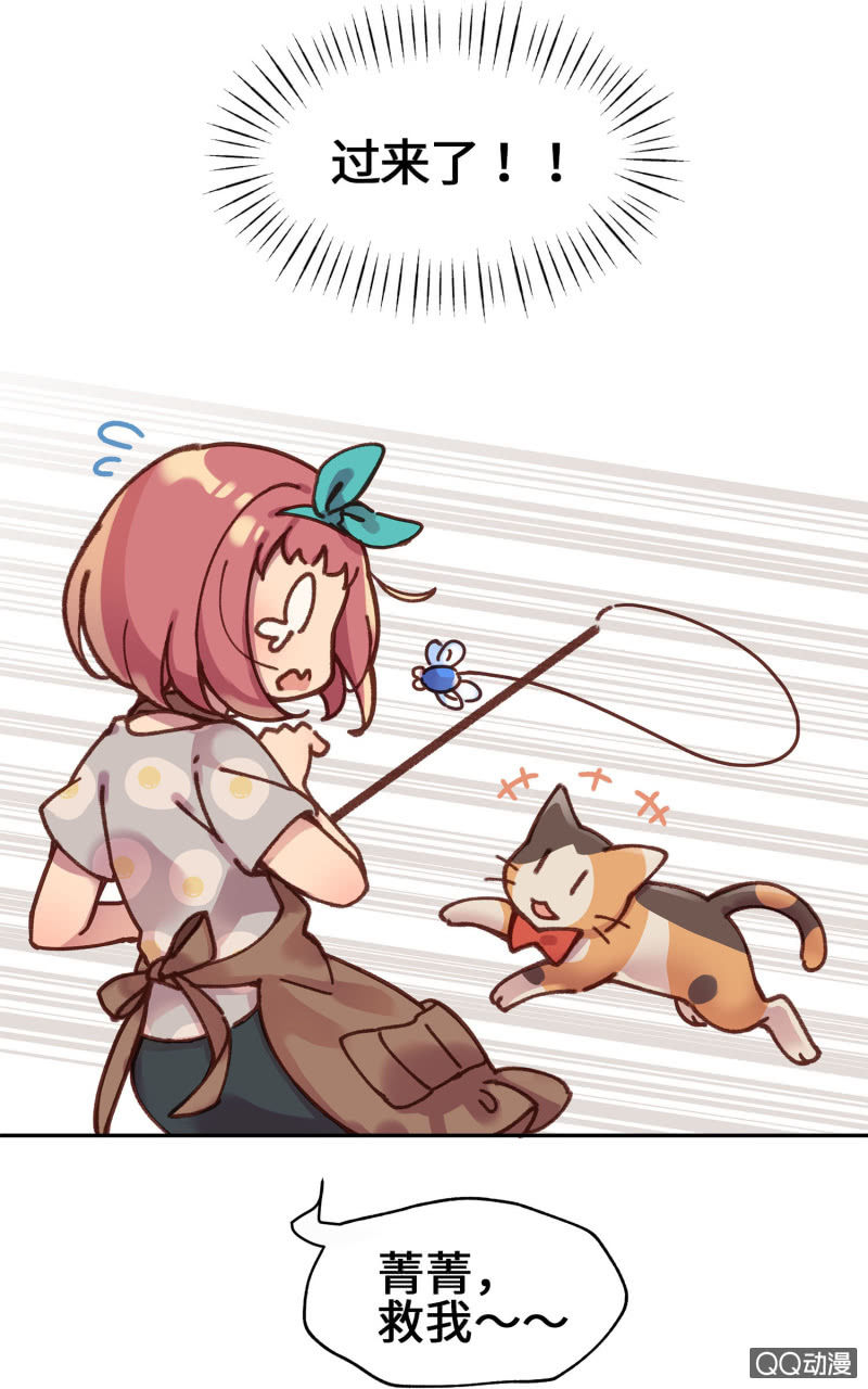 第13杯『新的出发』-第15话