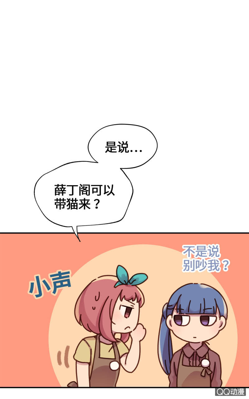 第15杯『猫咪室友』-第17话