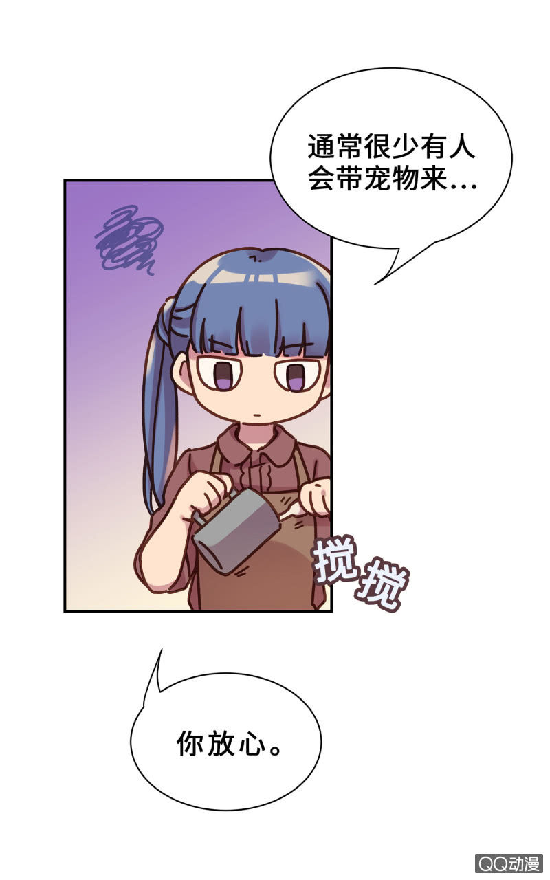 第15杯『猫咪室友』-第17话