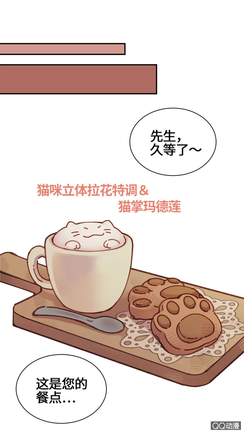 第15杯『猫咪室友』-第17话