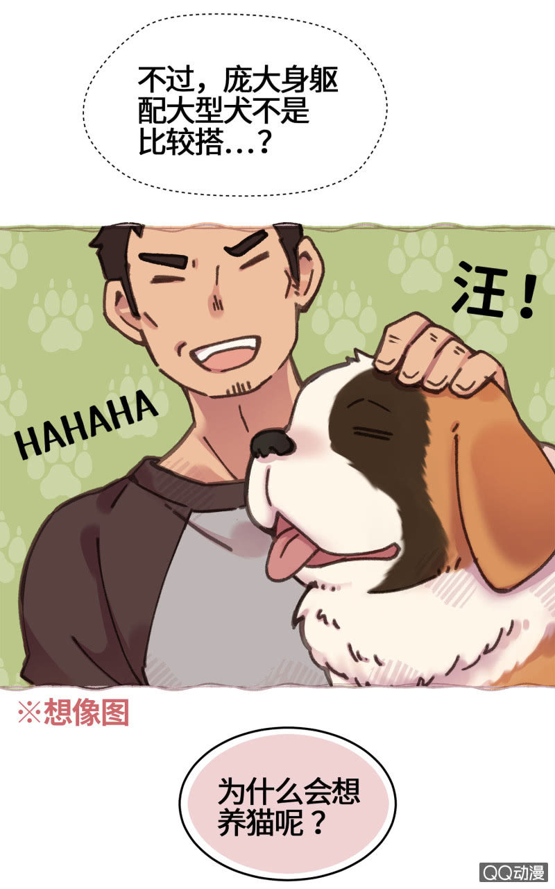 第15杯『猫咪室友』-第17话