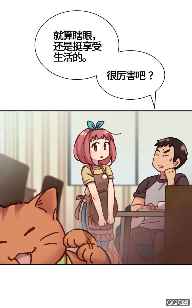 第15杯『猫咪室友』-第17话