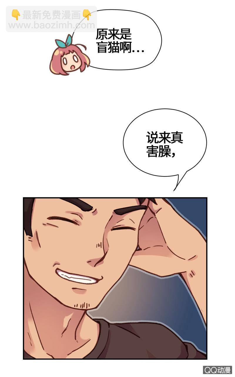 第15杯『猫咪室友』-第17话