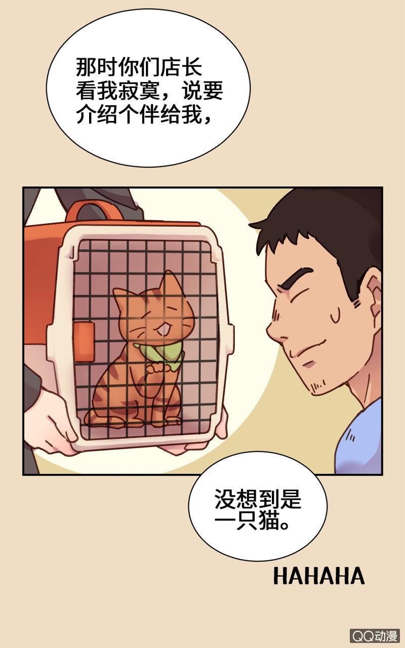 第15杯『猫咪室友』-第17话