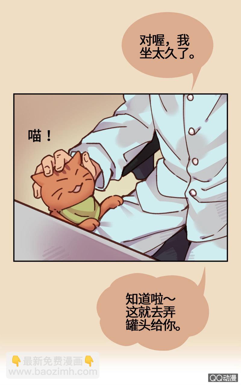 第15杯『猫咪室友』-第17话