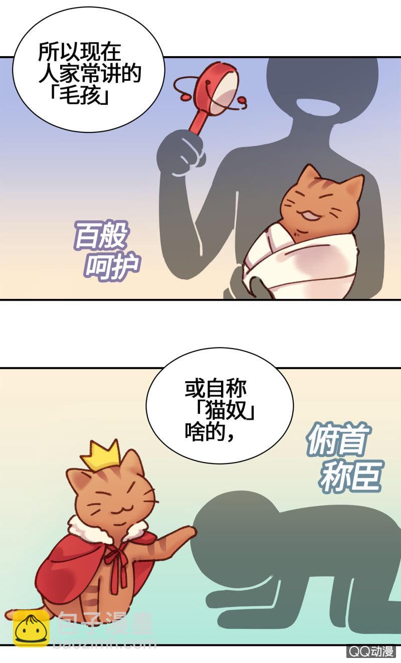 第15杯『猫咪室友』-第17话