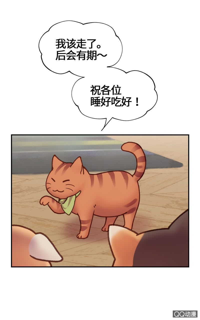 第15杯『猫咪室友』-第17话