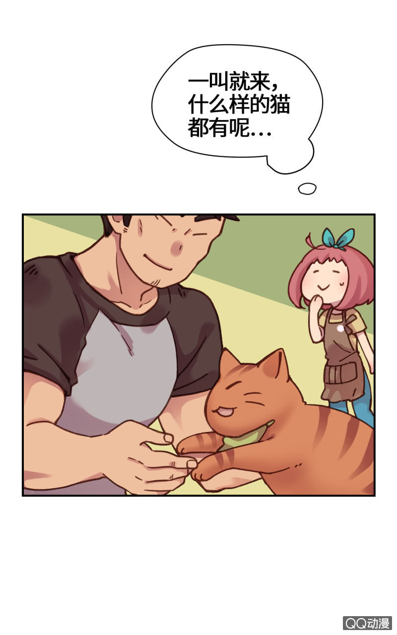 第15杯『猫咪室友』-第17话