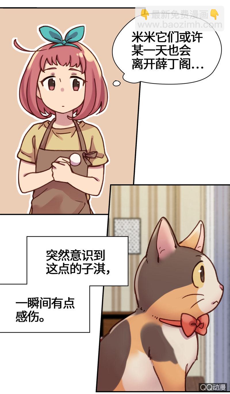 第15杯『猫咪室友』-第17话