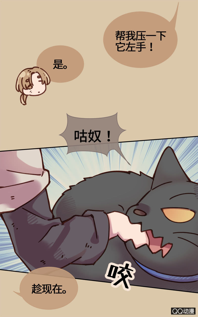 第17杯『家常便饭』-第19话