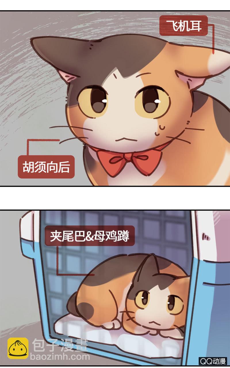 第17杯『家常便饭』-第19话