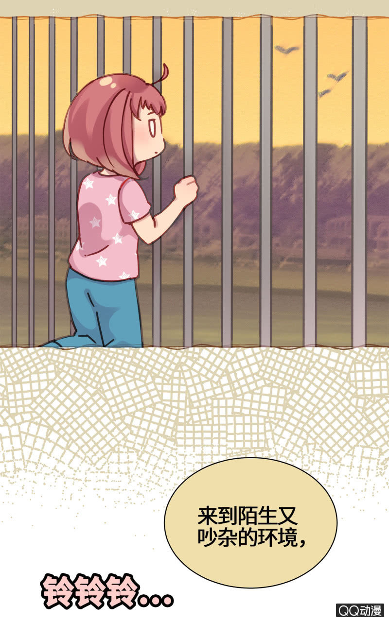 第17杯『家常便饭』-第19话