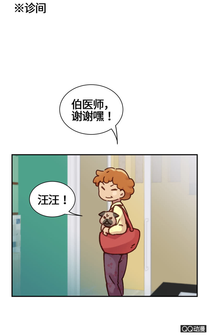 第17杯『家常便饭』-第19话