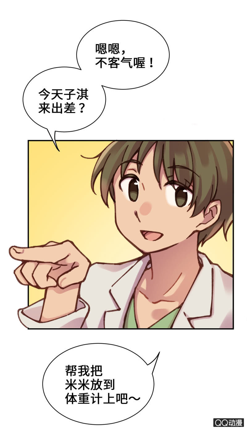 第17杯『家常便饭』-第19话