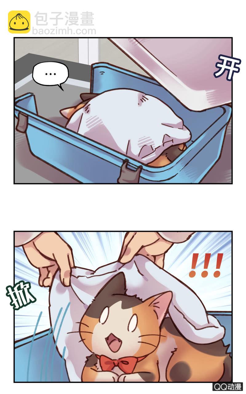 第17杯『家常便饭』-第19话