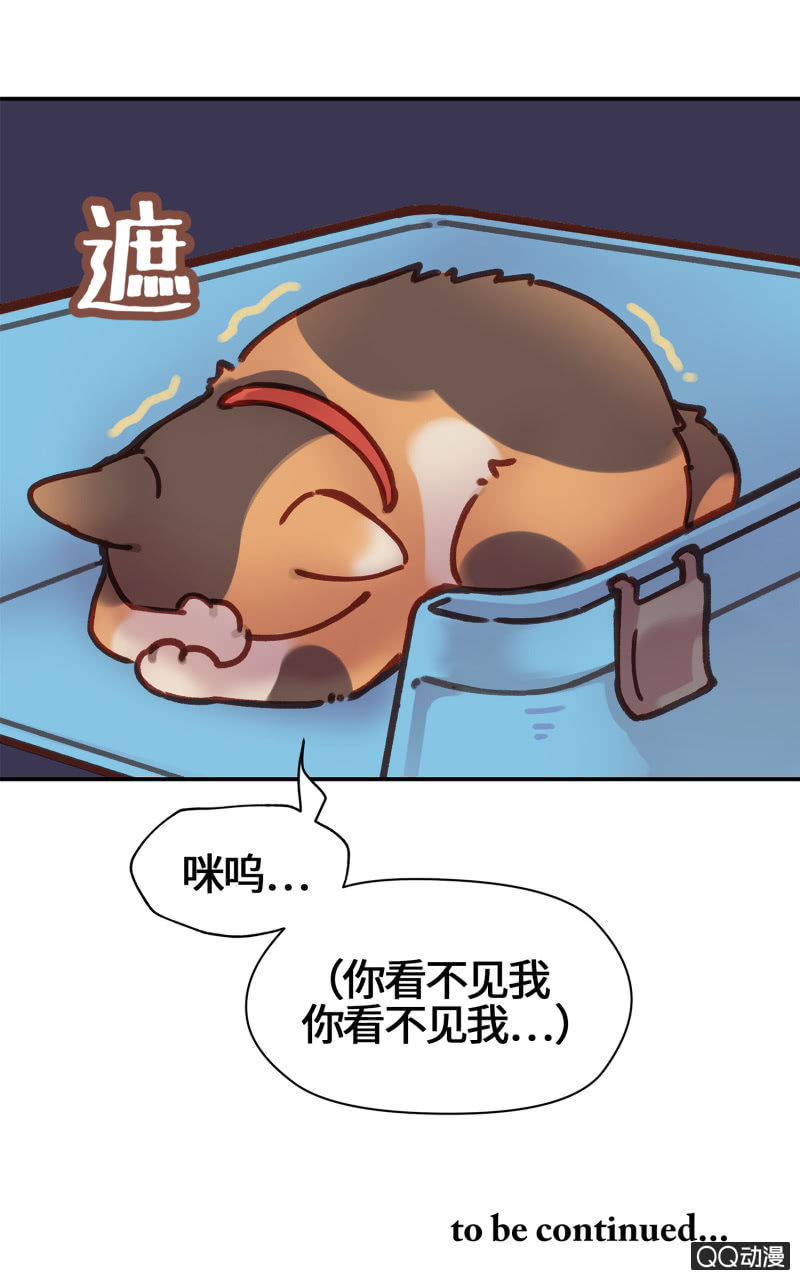 第17杯『家常便饭』-第19话