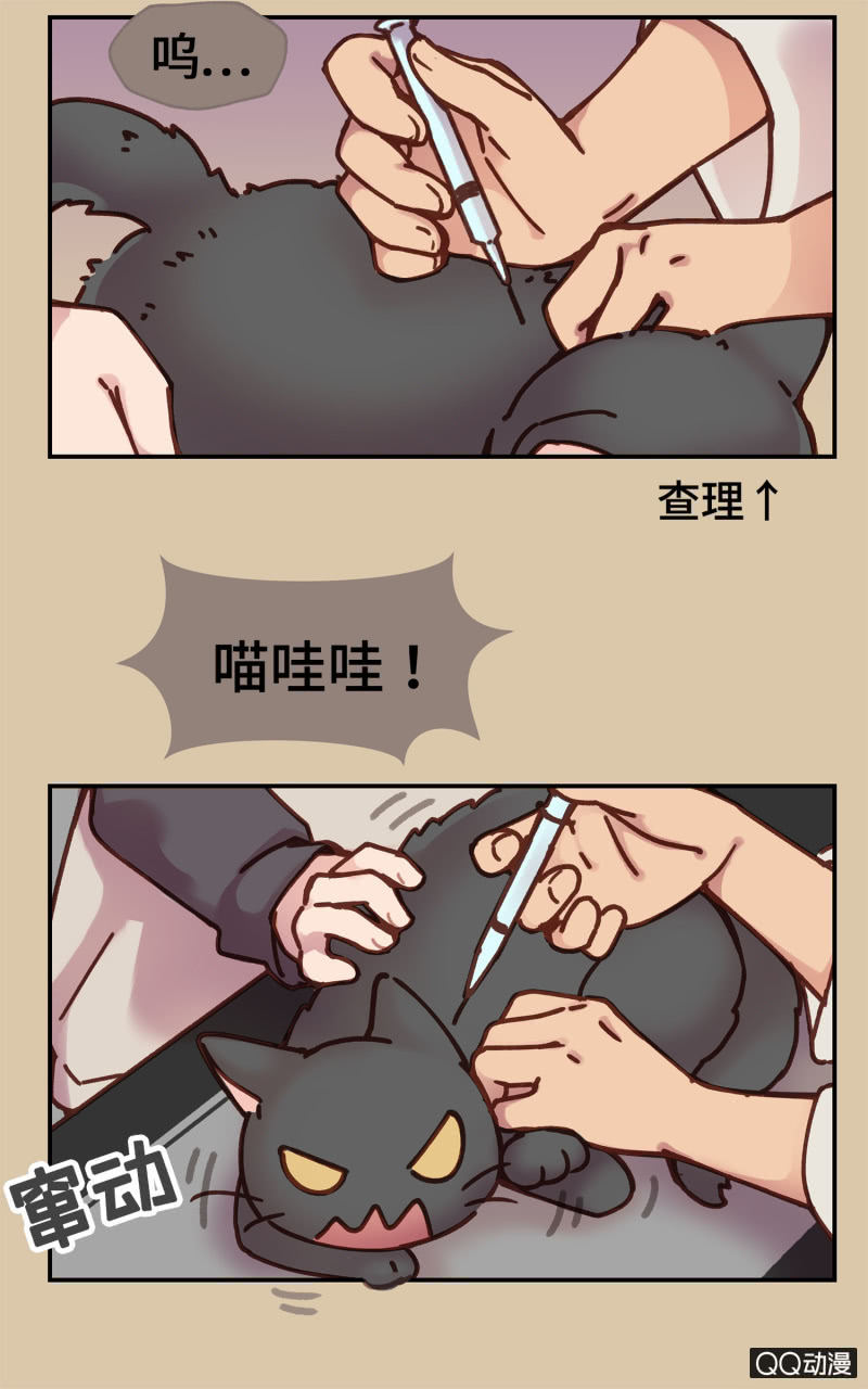 第17杯『家常便饭』-第19话