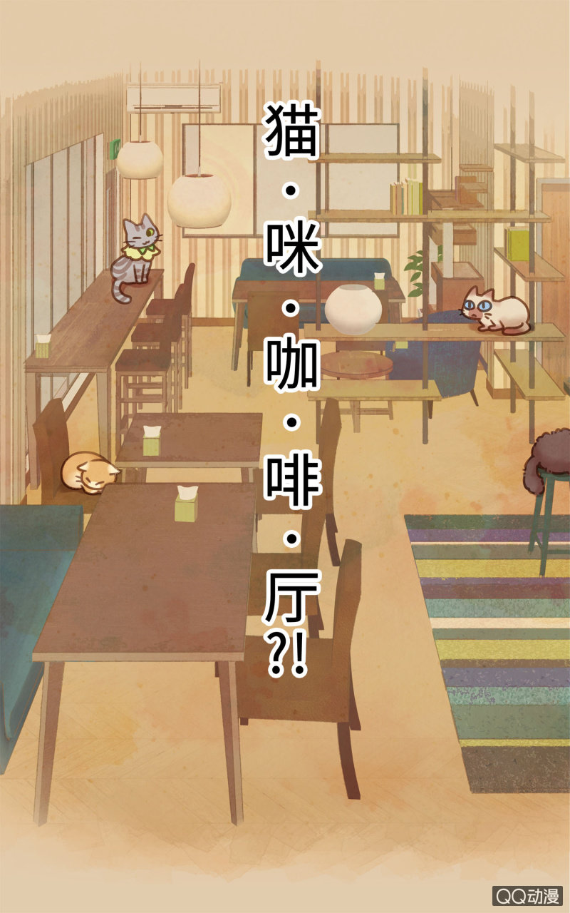 第1杯『最怕小动物了』-第3话