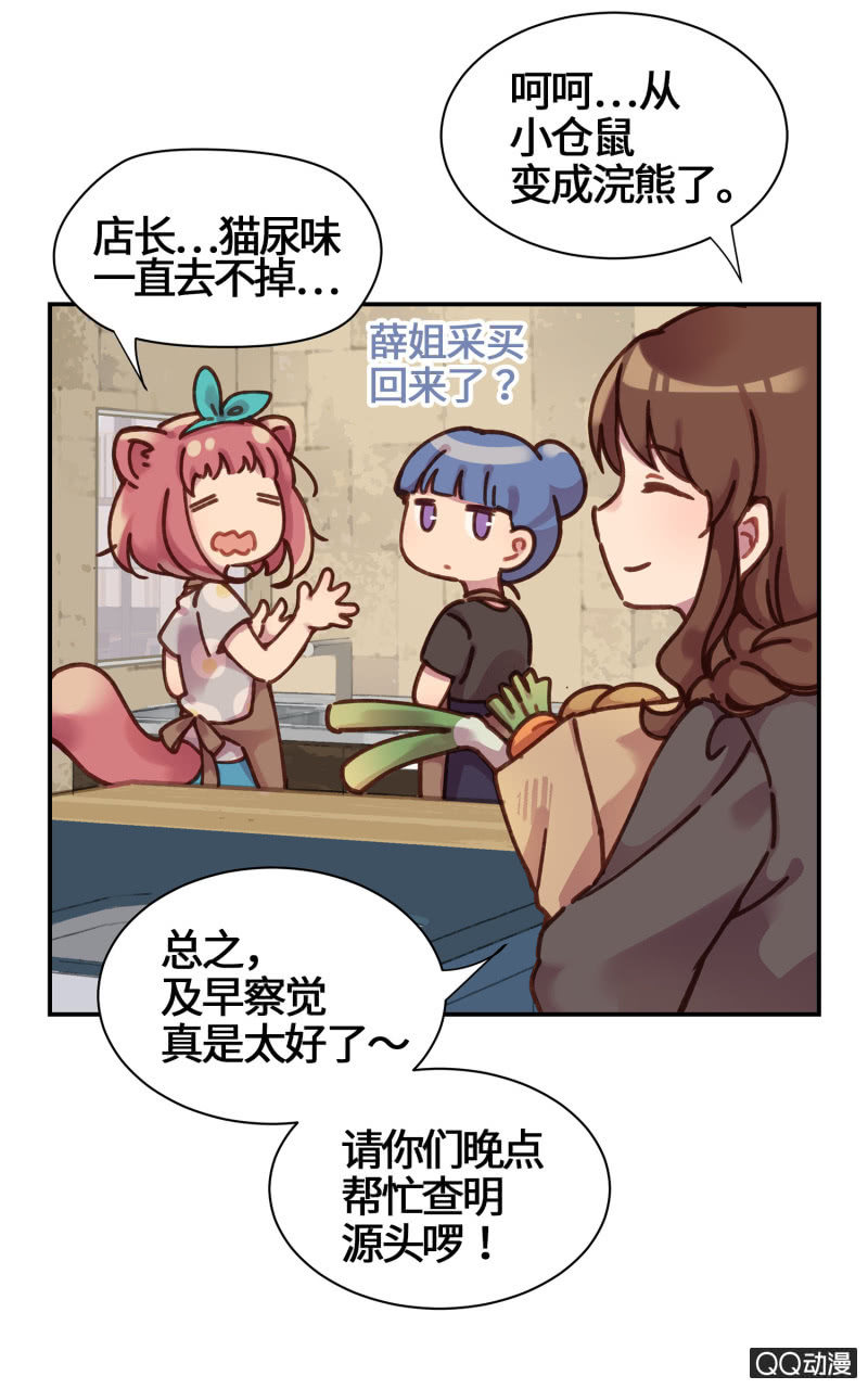 第19杯『寻找犯猫』-第21话