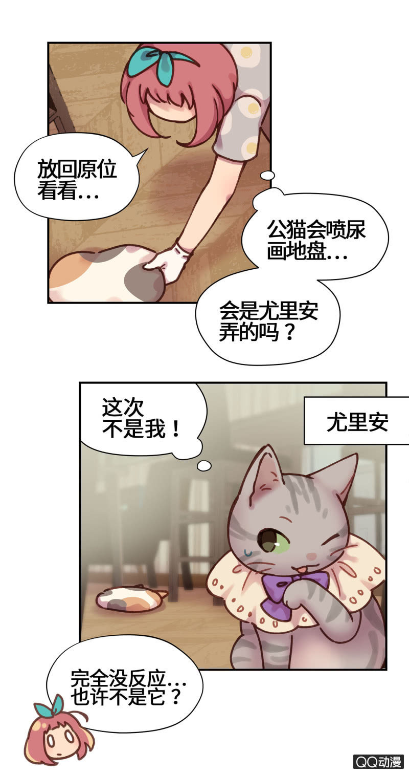 第19杯『寻找犯猫』-第21话