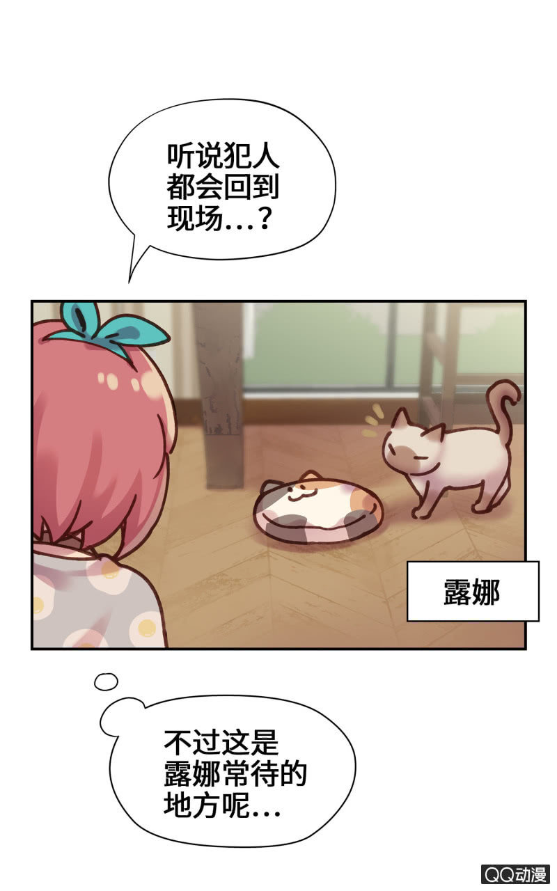 第19杯『寻找犯猫』-第21话