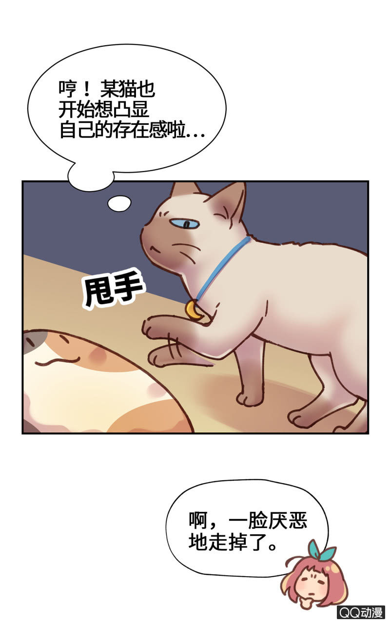 第19杯『寻找犯猫』-第21话