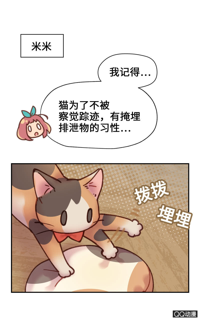 第19杯『寻找犯猫』-第21话