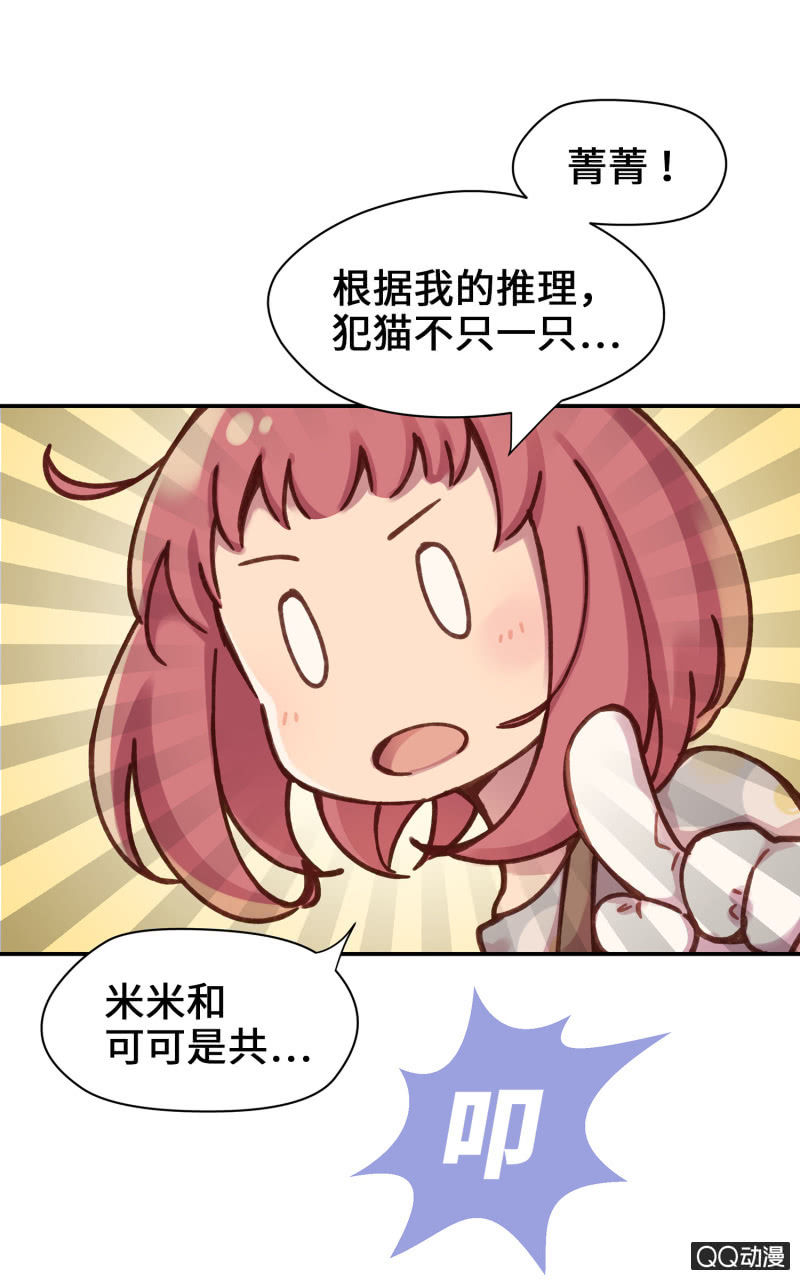 第19杯『寻找犯猫』-第21话