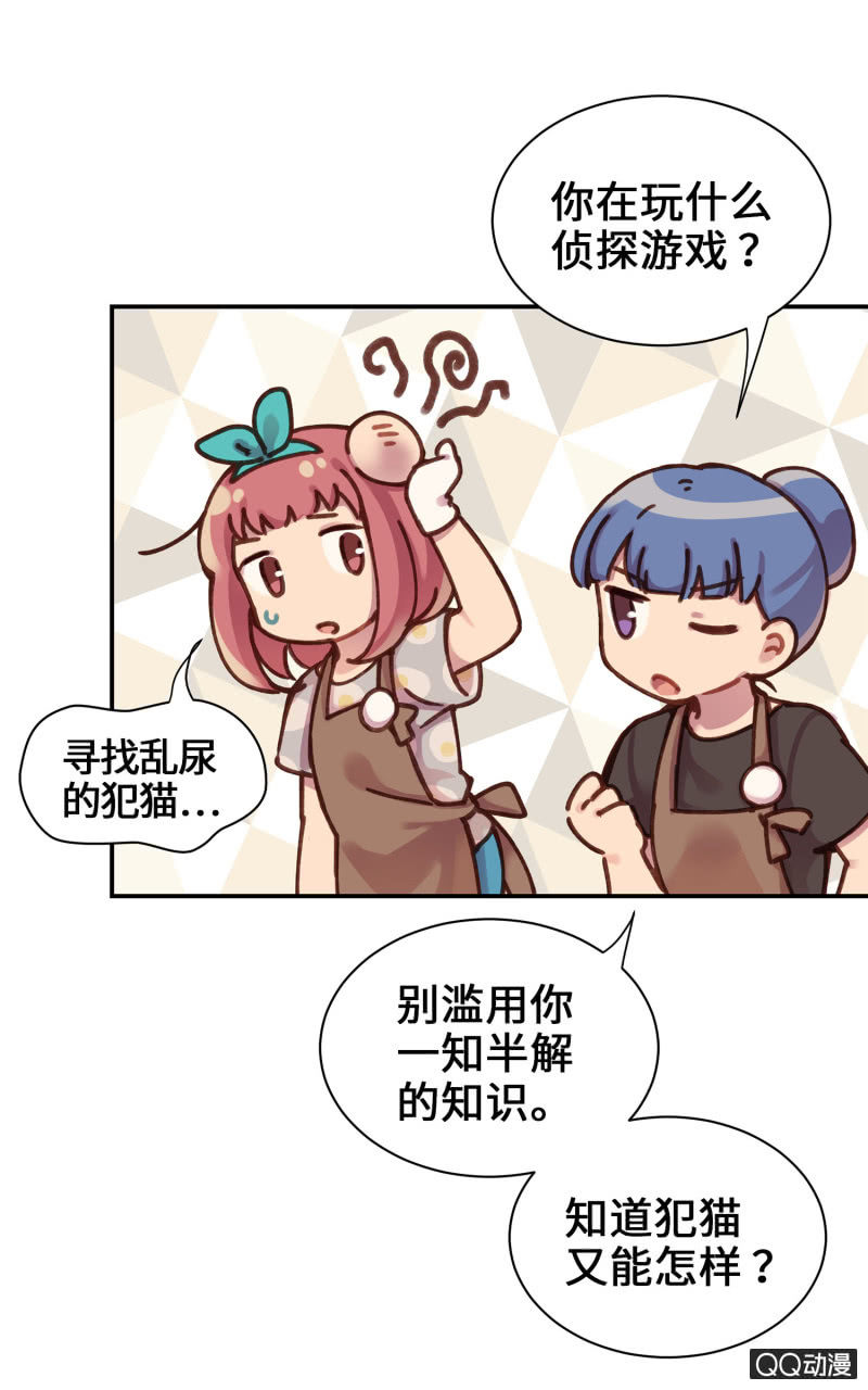 第19杯『寻找犯猫』-第21话