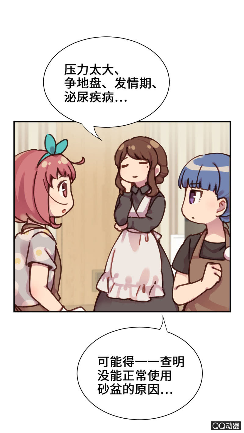 第19杯『寻找犯猫』-第21话