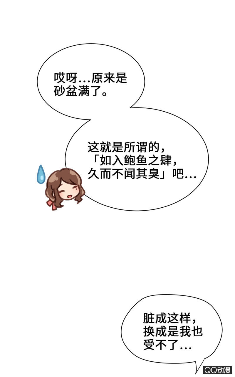 第19杯『寻找犯猫』-第21话