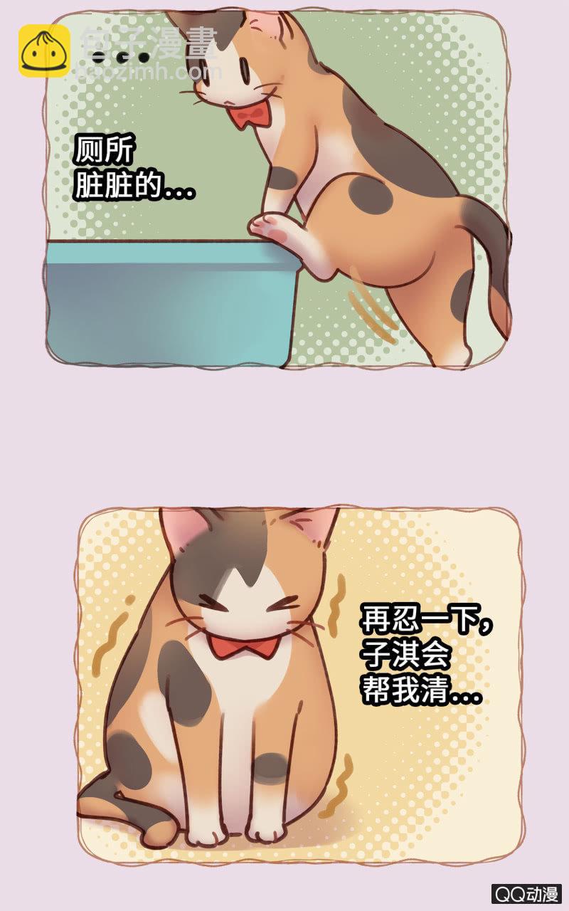 第19杯『寻找犯猫』-第21话