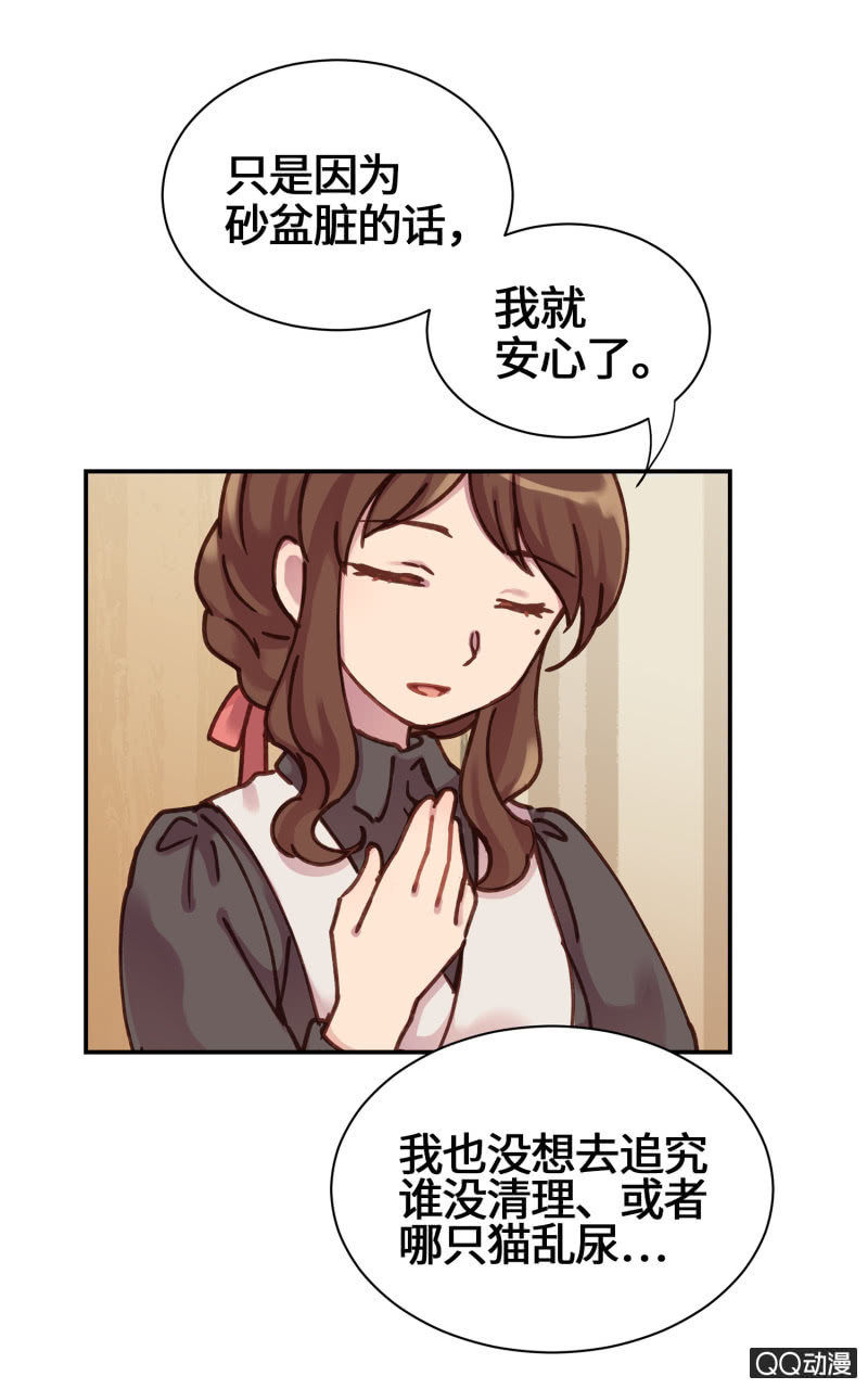 第19杯『寻找犯猫』-第21话