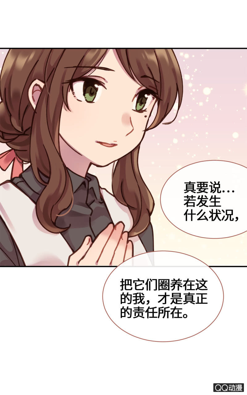 第19杯『寻找犯猫』-第21话