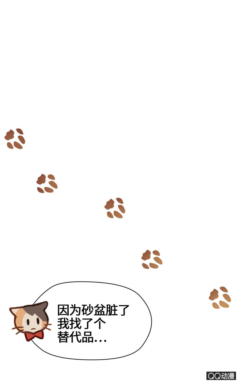 第19杯『寻找犯猫』-第21话