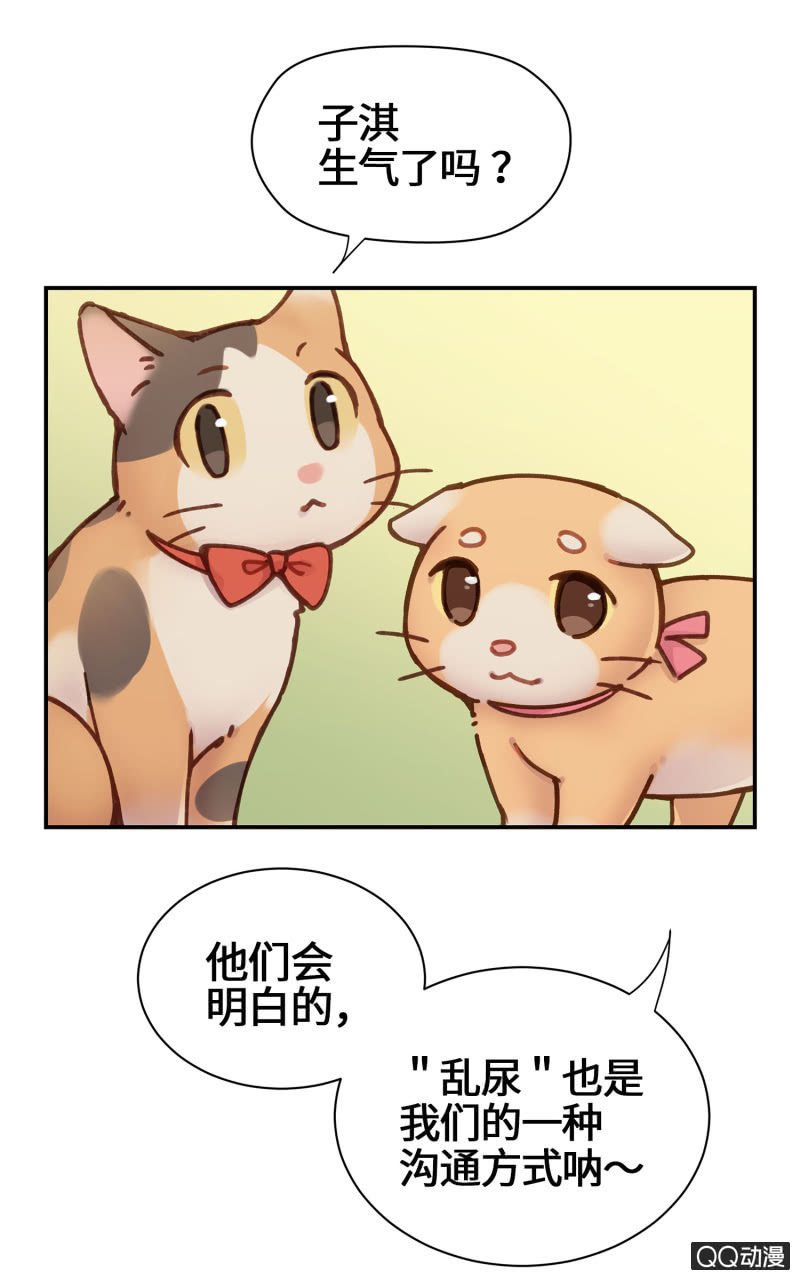 第19杯『寻找犯猫』-第21话