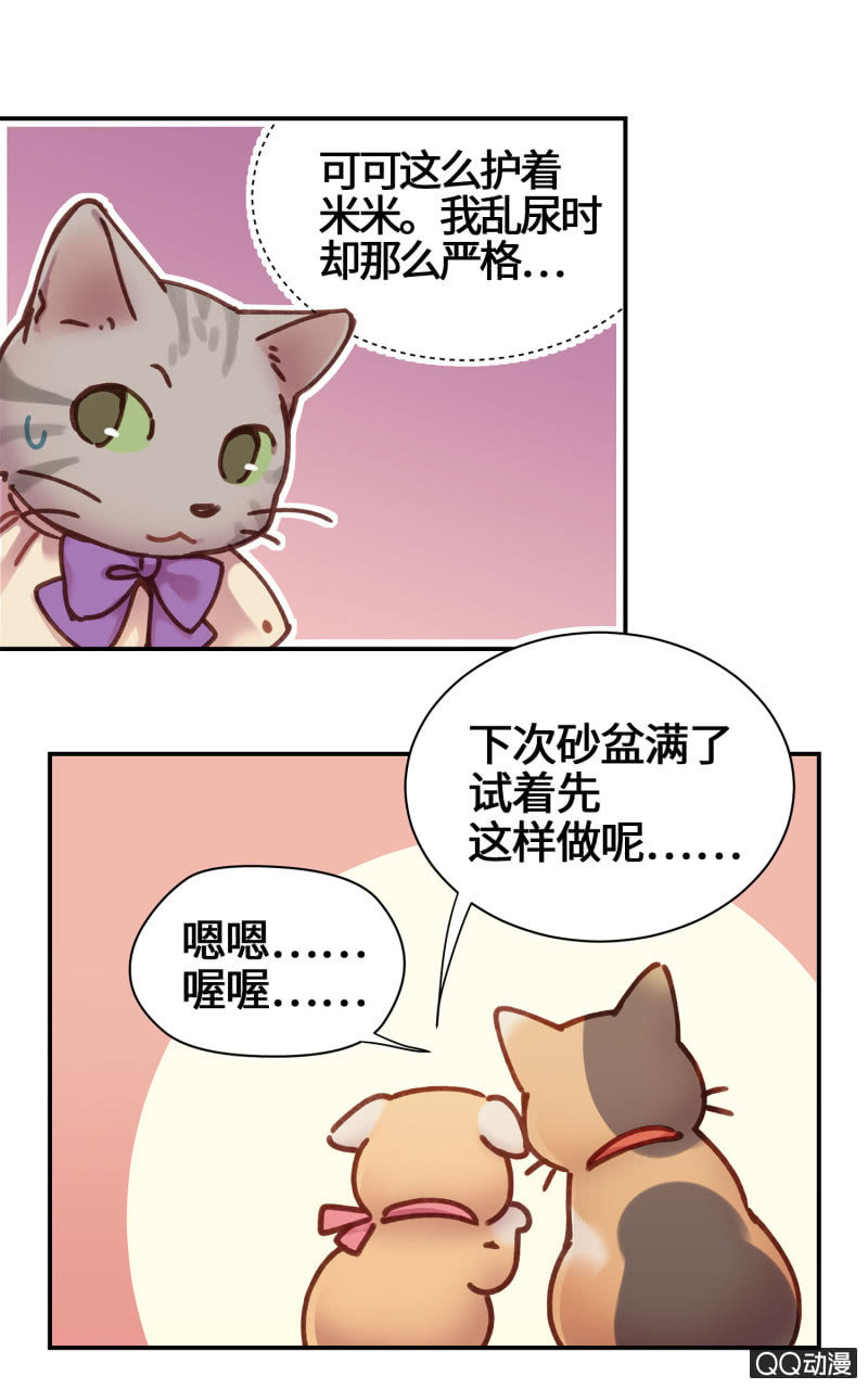 第19杯『寻找犯猫』-第21话