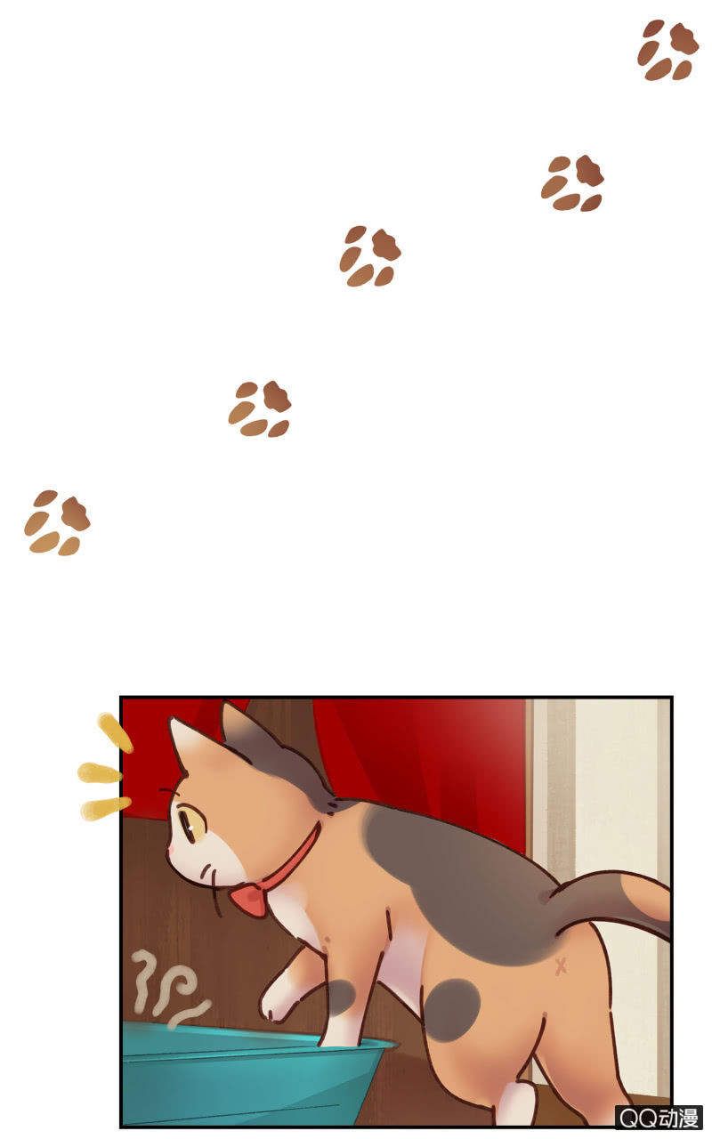 第19杯『寻找犯猫』-第21话