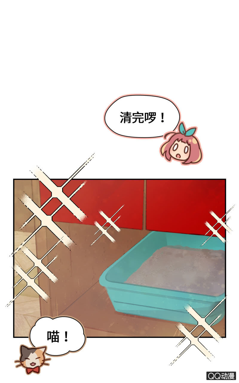 第19杯『寻找犯猫』-第21话