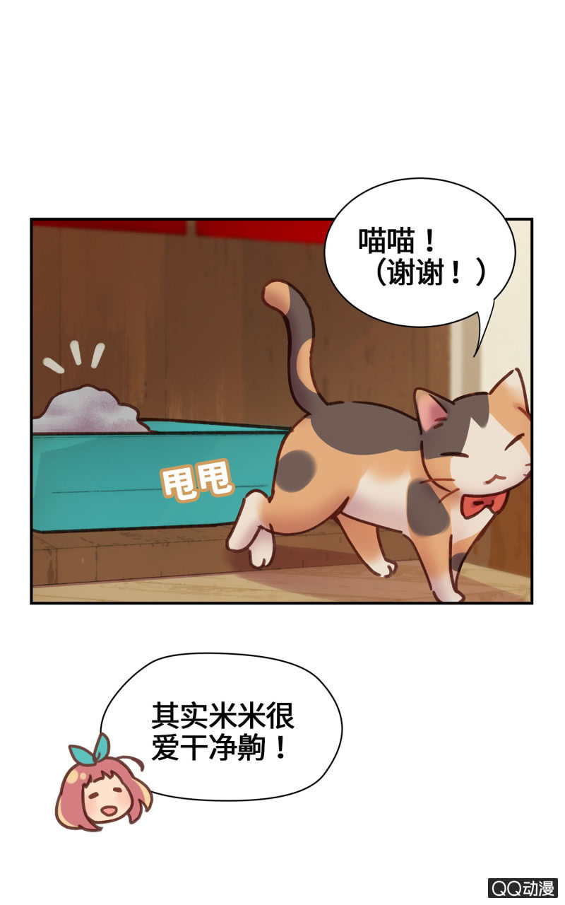 第19杯『寻找犯猫』-第21话