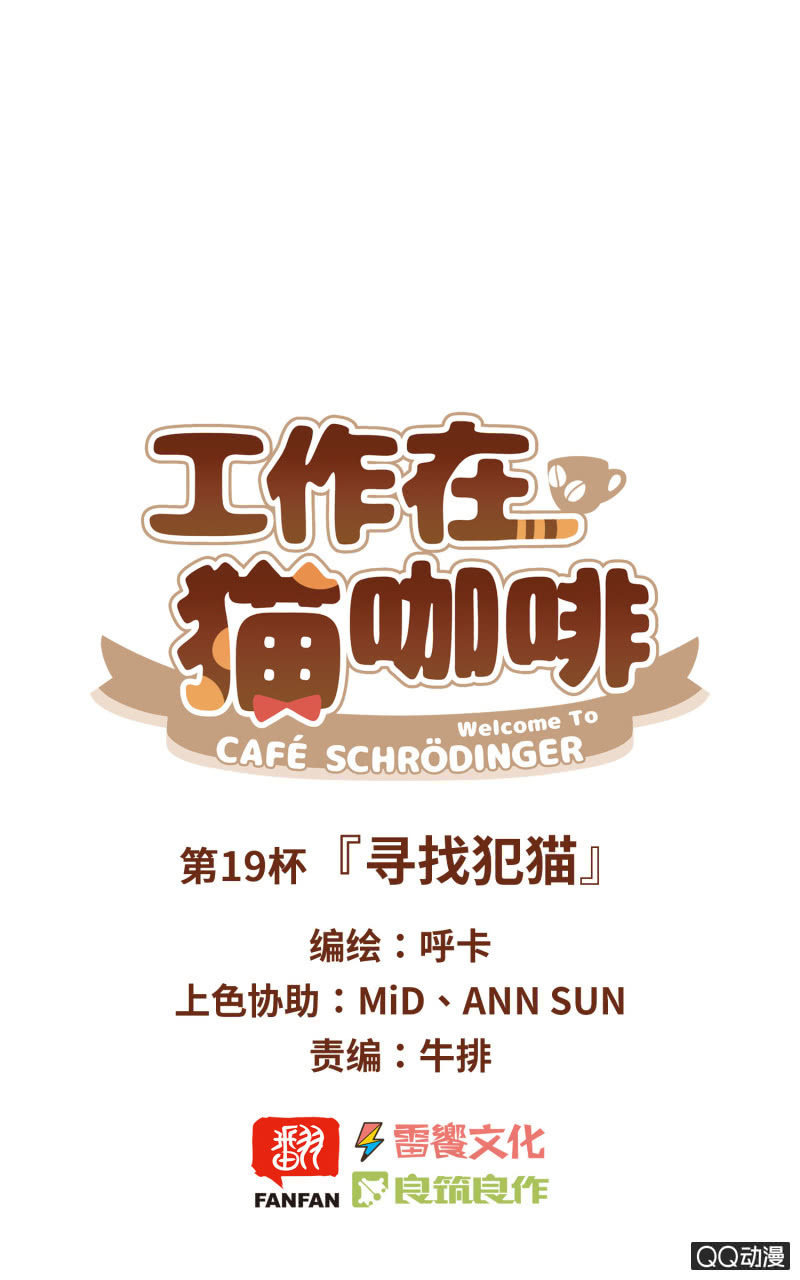 第19杯『寻找犯猫』-第21话