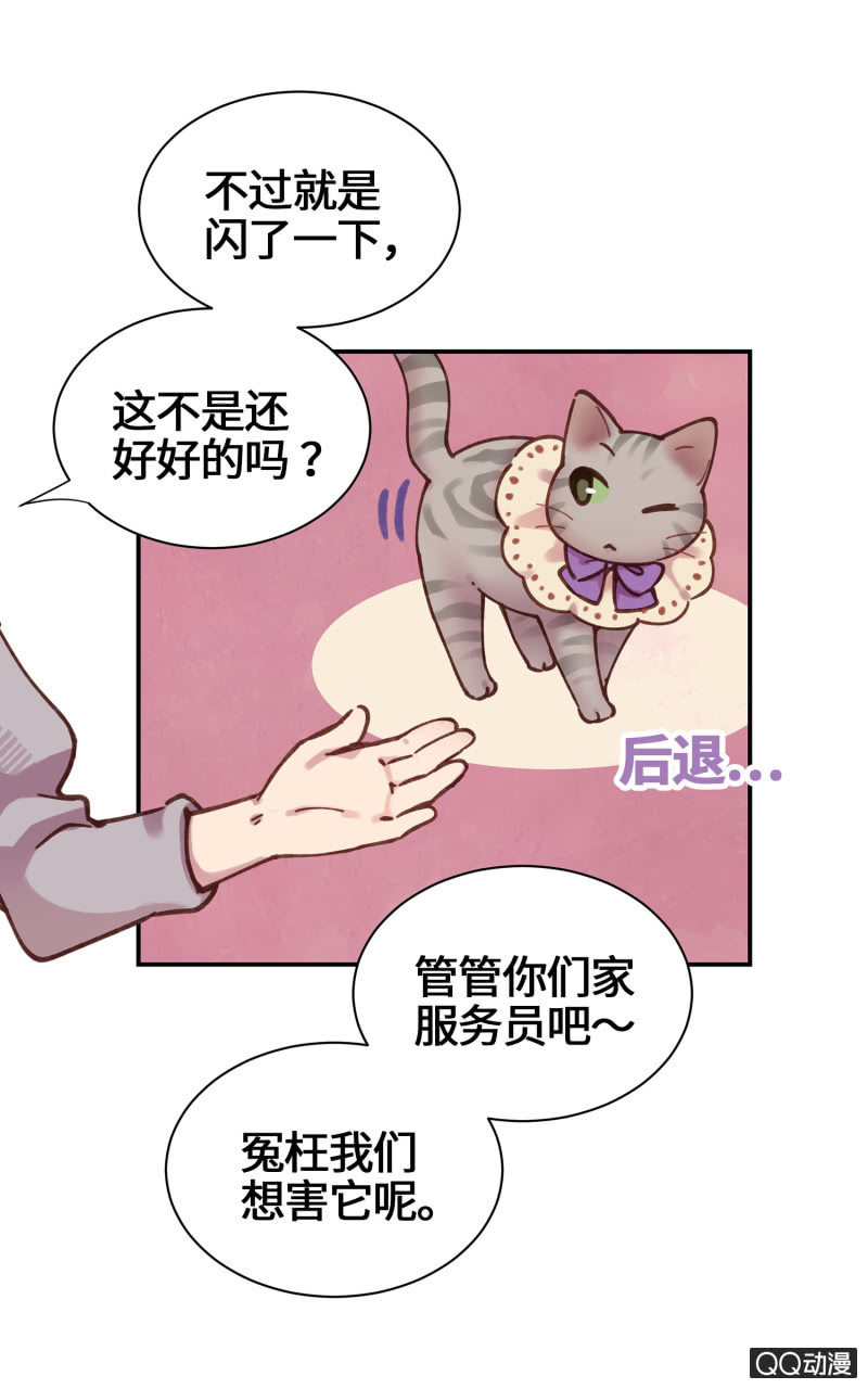 第21杯『生命贵贱』-第23话