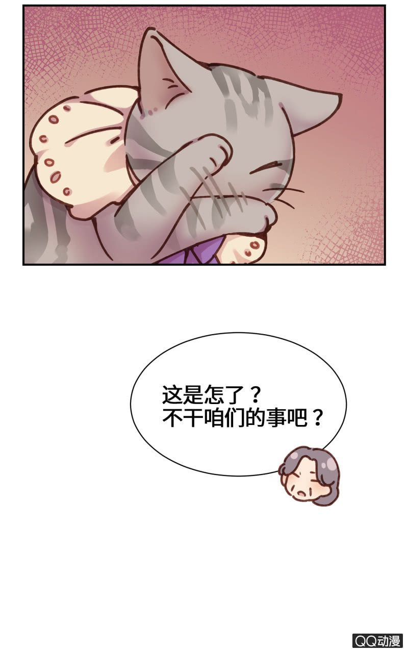 第21杯『生命贵贱』-第23话