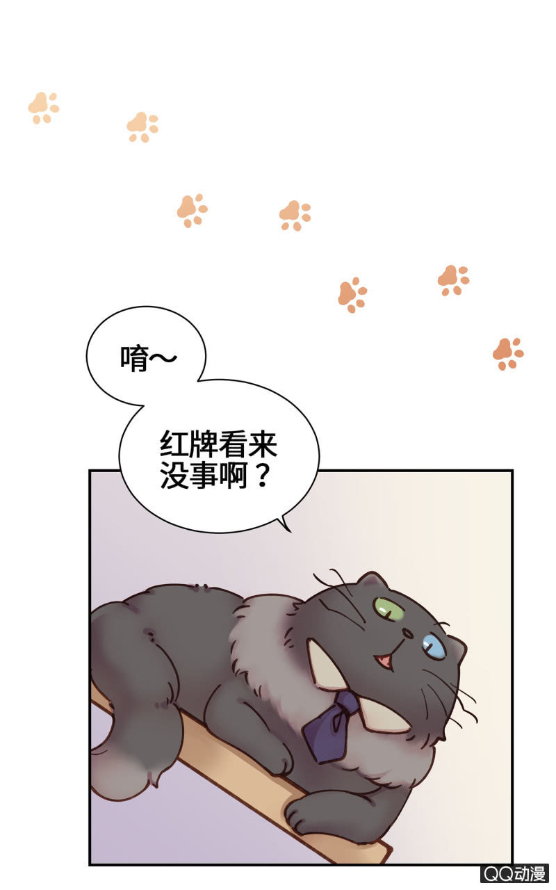 第21杯『生命贵贱』-第23话