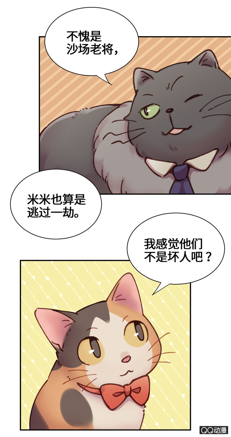 第21杯『生命贵贱』-第23话