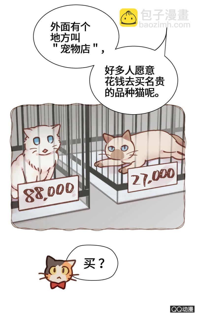 第21杯『生命贵贱』-第23话