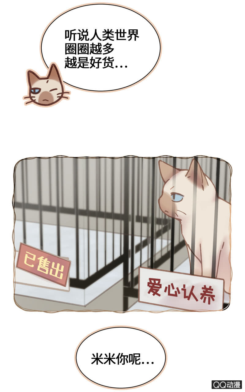 第21杯『生命贵贱』-第23话