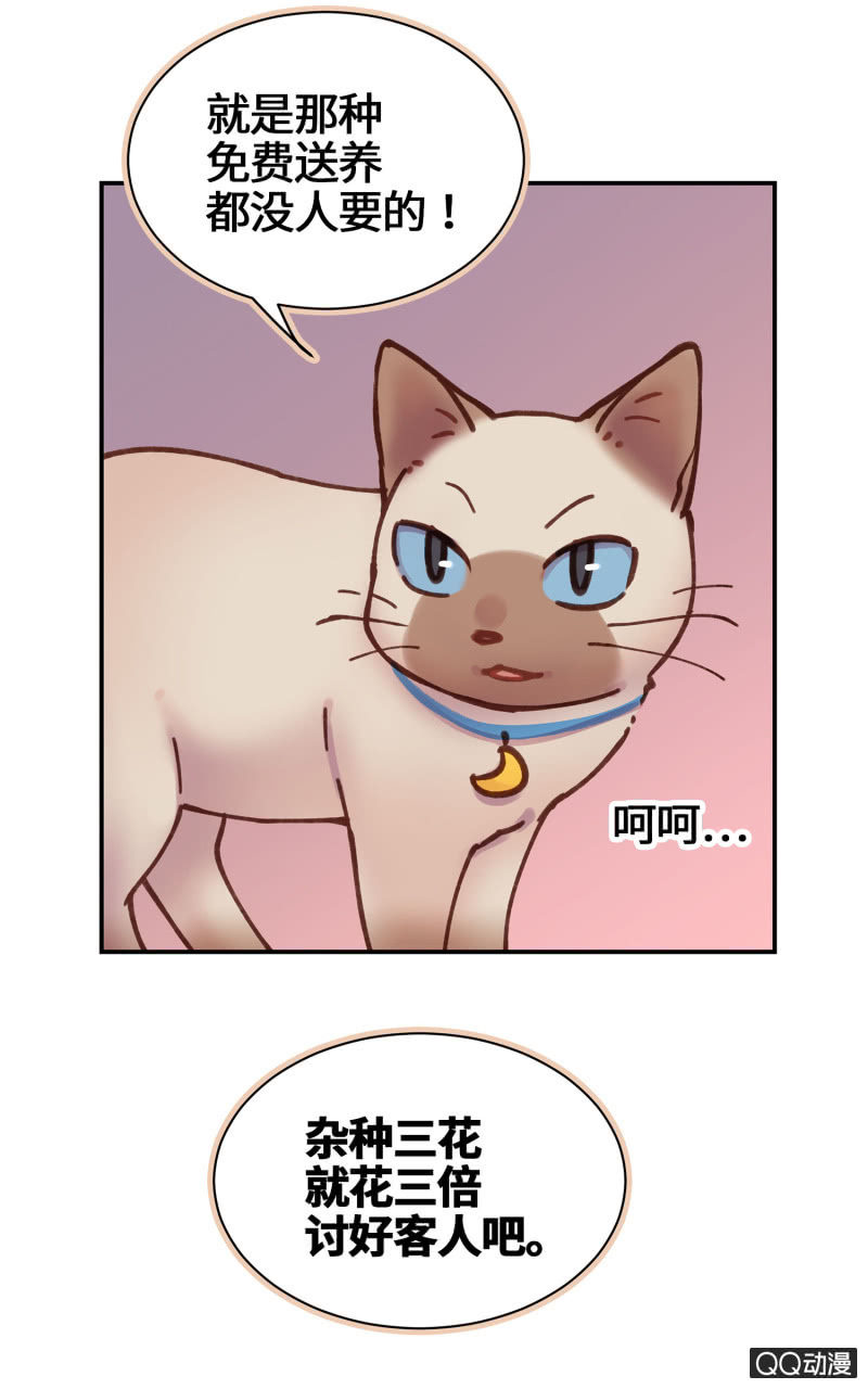 第21杯『生命贵贱』-第23话