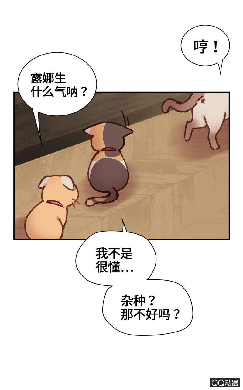 第21杯『生命贵贱』-第23话