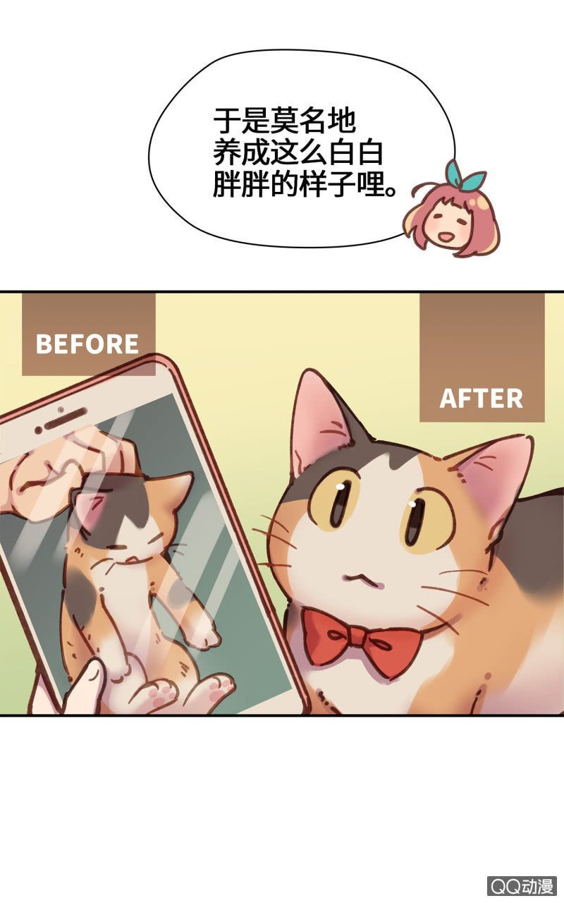 第22杯『只要我长大』-第25话